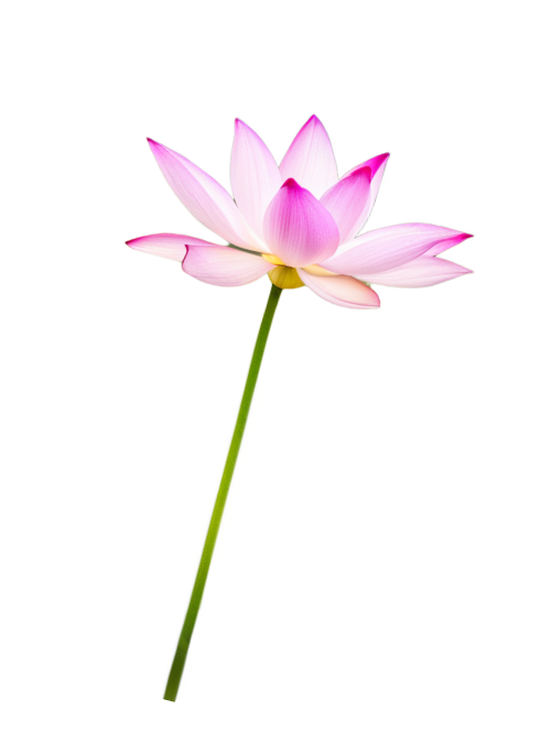 HIỂU VỀ NLP -