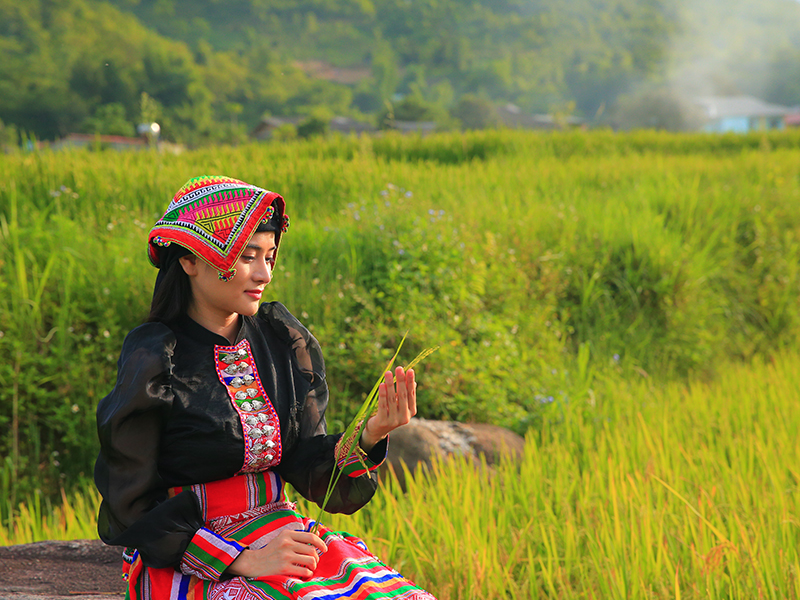 Cách ăn uống chánh niệm có lợi gì cho sức khoẻ?